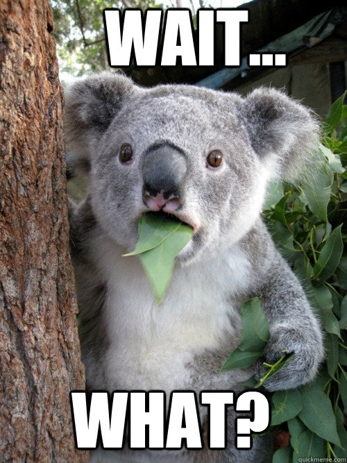 Image of koala expressing shock at React being all JavaScript